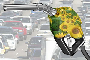 Biocombustíveis podem ser a solução para a poluição veicular